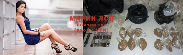 ПСИЛОЦИБИНОВЫЕ ГРИБЫ Абаза