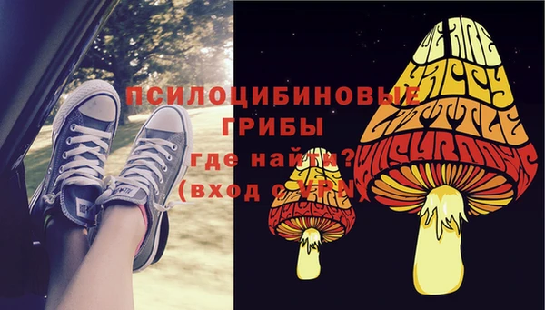ПСИЛОЦИБИНОВЫЕ ГРИБЫ Абаза