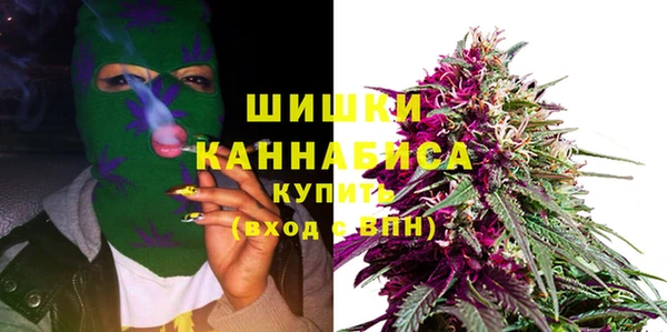 бошки Алексин