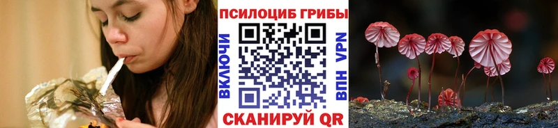 Псилоцибиновые грибы Magic Shrooms  kraken зеркало  Плавск 